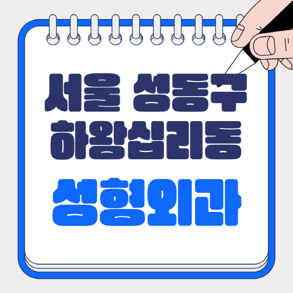 서울-성동구-하왕십리동-성형외과-유명한-곳-추천-일요일-전문의-잘하는-곳-흉터-눈-코-얼굴-지방이식
