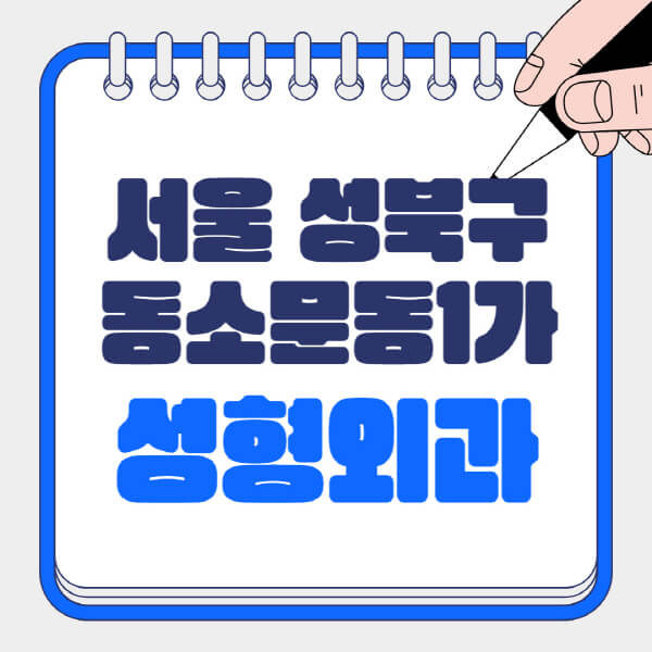 서울-성북구-동소문동1가-성형외과-유명한-곳-추천-일요일-전문의-잘하는-곳-흉터-눈-코-얼굴-지방이식