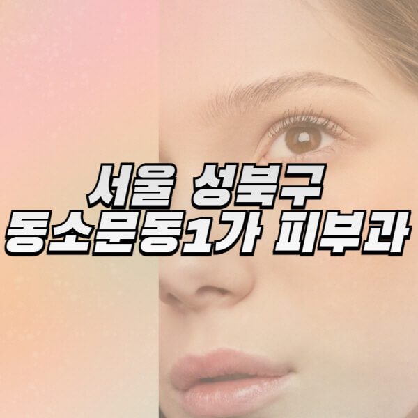 서울-성북구-동소문동1가-피부과-잘하는-곳-추천-전문의-일요일-진료-유명한-곳-리프팅-보톡스-필러-레이저제모-여드름