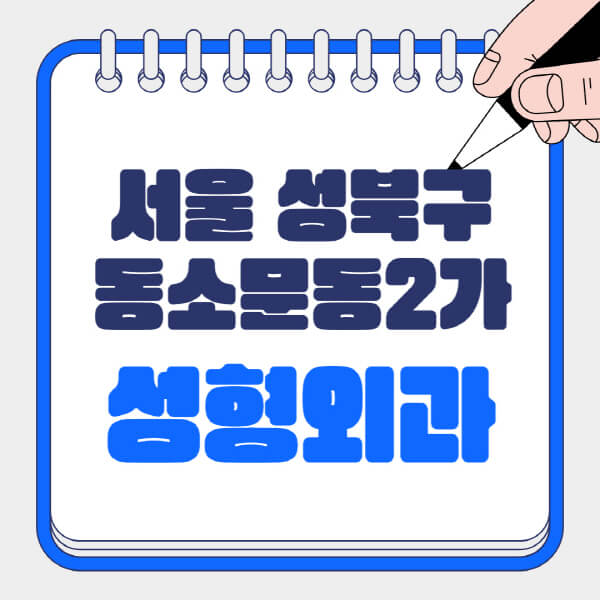서울-성북구-동소문동2가-성형외과-유명한-곳-추천-일요일-전문의-잘하는-곳-흉터-눈-코-얼굴-지방이식