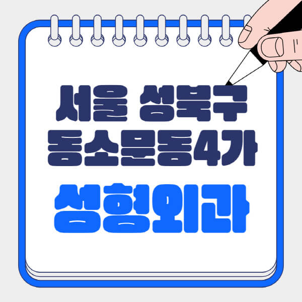 서울-성북구-동소문동4가-성형외과-유명한-곳-추천-일요일-전문의-잘하는-곳-흉터-눈-코-얼굴-지방이식