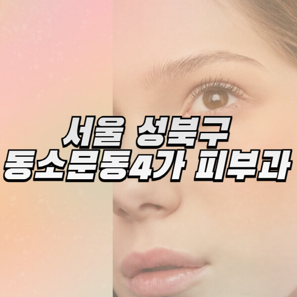 서울-성북구-동소문동4가-피부과-잘하는-곳-추천-전문의-일요일-진료-유명한-곳-리프팅-보톡스-필러-레이저제모-여드름