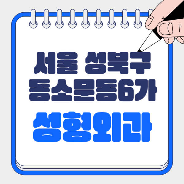 서울-성북구-동소문동6가-성형외과-유명한-곳-추천-일요일-전문의-잘하는-곳-흉터-눈-코-얼굴-지방이식