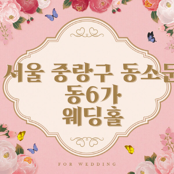 서울 성북구 동소문동6가-웨딩홀-예식장-결혼식장-추천-순위-웨딩박람회-가격-견적-비교-식대-등급표-후기-리스트]