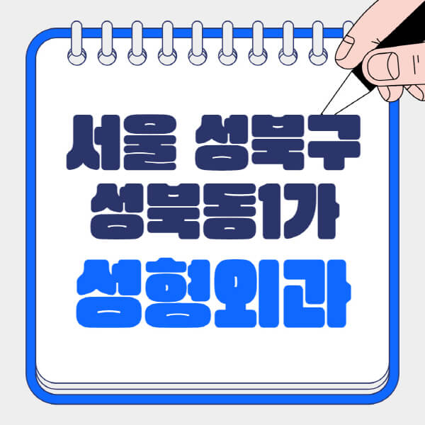 서울-성북구-성북동1가-성형외과-유명한-곳-추천-일요일-전문의-잘하는-곳-흉터-눈-코-얼굴-지방이식