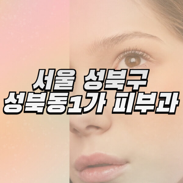 서울-성북구-성북동1가-피부과-잘하는-곳-추천-전문의-일요일-진료-유명한-곳-리프팅-보톡스-필러-레이저제모-여드름