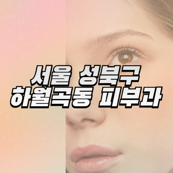 서울-성북구-하월곡동-피부과-잘하는-곳-추천-전문의-일요일-진료-유명한-곳-리프팅-보톡스-필러-레이저제모-여드름