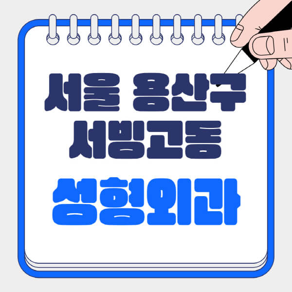 서울-용산구-서빙고동-성형외과-유명한-곳-추천-일요일-전문의-잘하는-곳-흉터-눈-코-얼굴-지방이식
