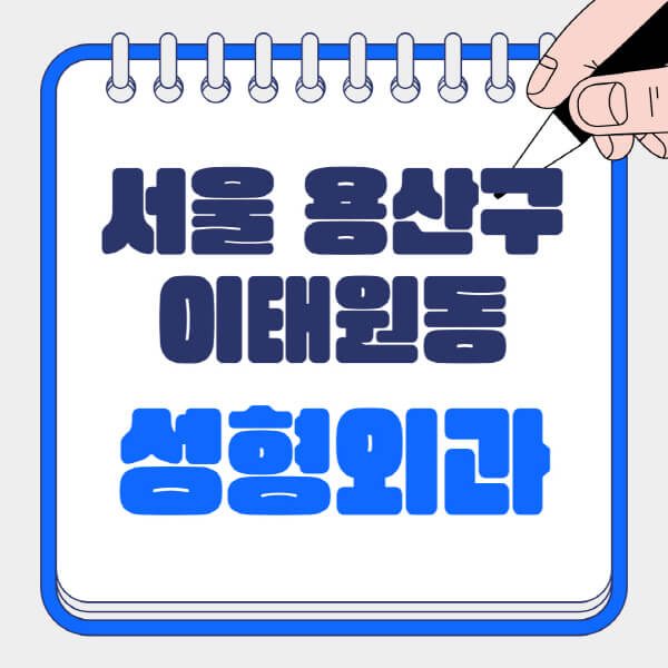 서울-용산구-이태원동-성형외과-유명한-곳-추천-일요일-전문의-잘하는-곳-흉터-눈-코-얼굴-지방이식