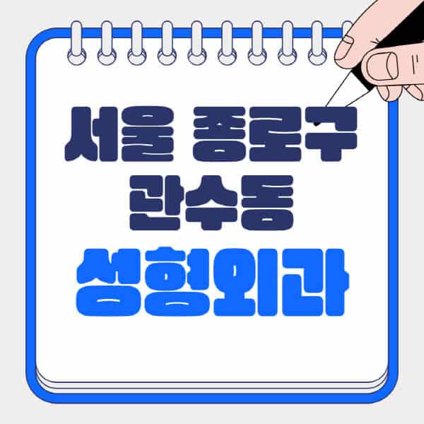 서울-종로구-관수동-성형외과-유명한-곳-추천-일요일-전문의-잘하는-곳-흉터-눈-코-얼굴-지방이식