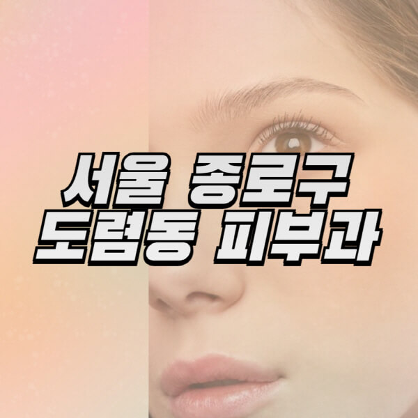 서울-종로구-도렴동-피부과-잘하는-곳-추천-전문의-일요일-진료-유명한-곳-리프팅-보톡스-필러-레이저제모-여드름