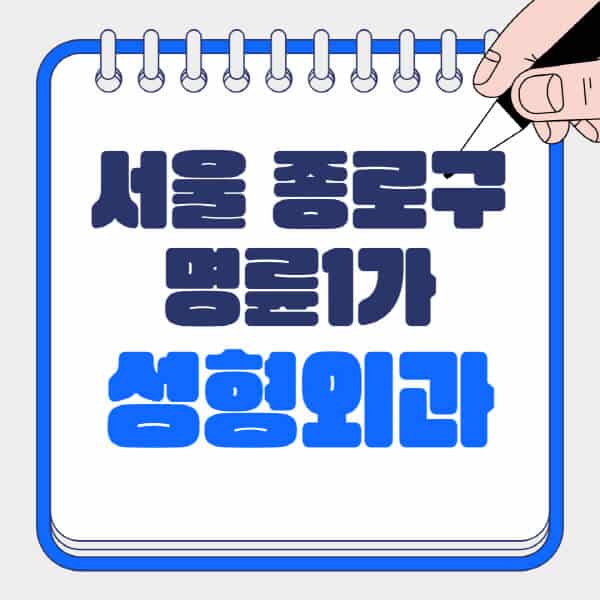 서울-종로구-명륜1가-성형외과-유명한-곳-추천-일요일-전문의-잘하는-곳-흉터-눈-코-얼굴-지방이식
