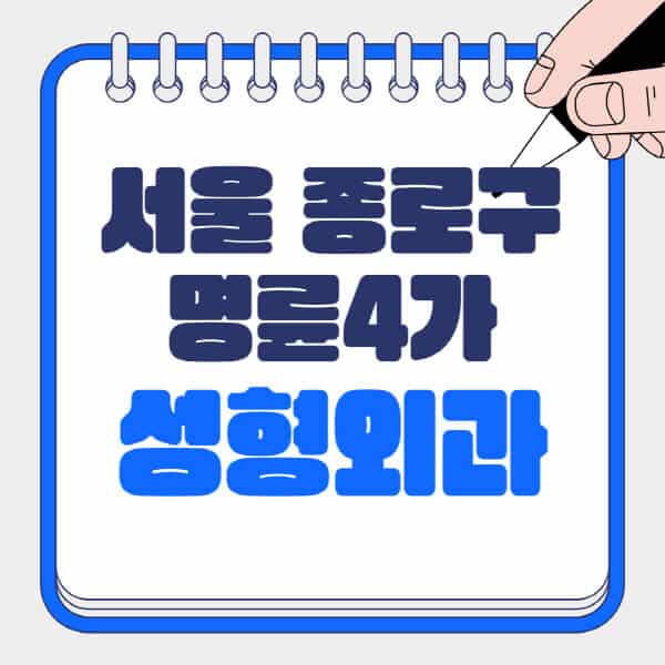 서울-종로구-명륜4가-성형외과-유명한-곳-추천-일요일-전문의-잘하는-곳-흉터-눈-코-얼굴-지방이식