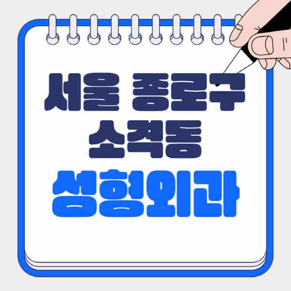 서울-종로구-소격동-성형외과-유명한-곳-추천-일요일-전문의-잘하는-곳-흉터-눈-코-얼굴-지방이식