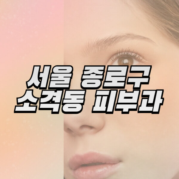 서울-종로구-소격동-피부과-잘하는-곳-추천-전문의-일요일-진료-유명한-곳-리프팅-보톡스-필러-레이저제모-여드름
