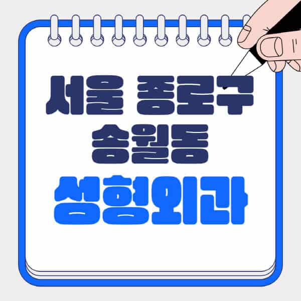 서울-종로구-송월동-성형외과-유명한-곳-추천-일요일-전문의-잘하는-곳-흉터-눈-코-얼굴-지방이식