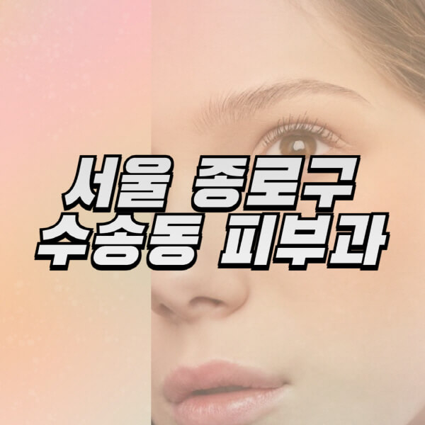 서울-종로구-수송동-피부과-잘하는-곳-추천-전문의-일요일-진료-유명한-곳-리프팅-보톡스-필러-레이저제모-여드름