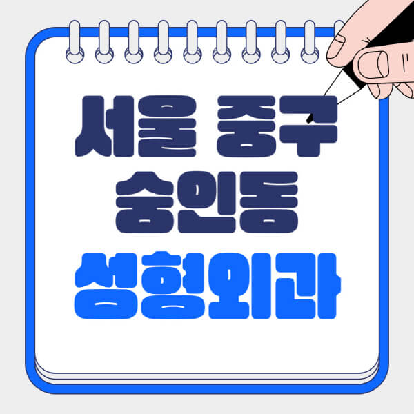 서울-종로구-숭인동-성형외과-유명한-곳-추천-일요일-전문의-잘하는-곳-흉터-눈-코-얼굴-지방이식