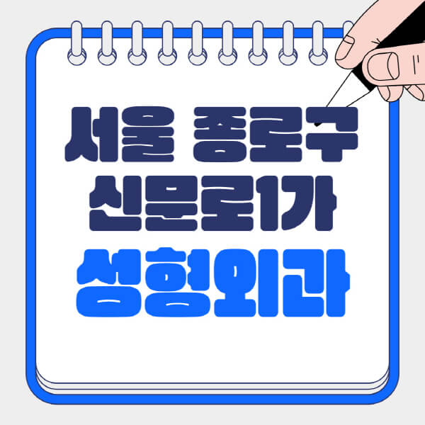서울-종로구-신문로1가-성형외과-유명한-곳-추천-일요일-전문의-잘하는-곳-흉터-눈-코-얼굴-지방이식