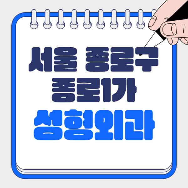서울-종로구-종로1가-성형외과-유명한-곳-추천-일요일-전문의-잘하는-곳-흉터-눈-코-얼굴-지방이식
