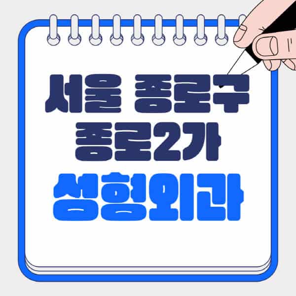 서울-종로구-종로2가-성형외과-유명한-곳-추천-일요일-전문의-잘하는-곳-흉터-눈-코-얼굴-지방이식