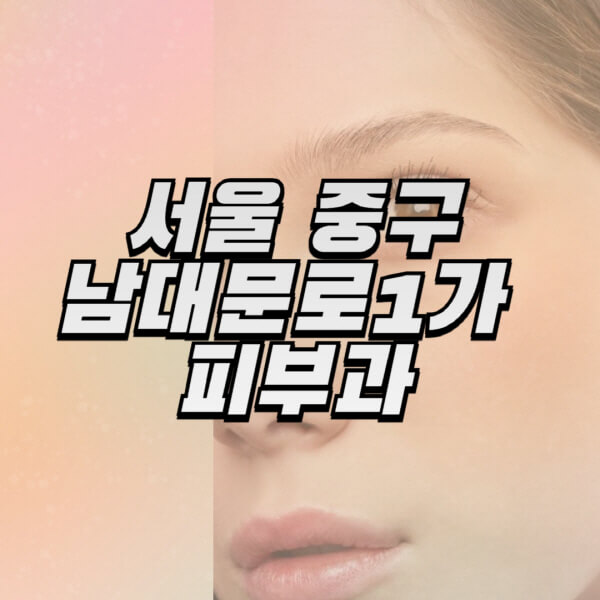 서울-중구-남대문로1가-피부과-잘하는-곳-추천-전문의-일요일-진료-유명한-곳-리프팅-보톡스-필러-레이저제모-여드름