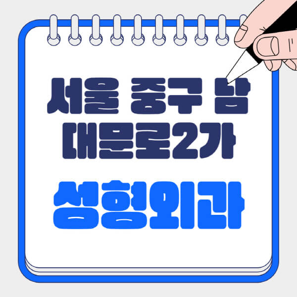 서울-중구-남대문로2가-성형외과-유명한-곳-추천-일요일-전문의-잘하는-곳-흉터-눈-코-얼굴-지방이식