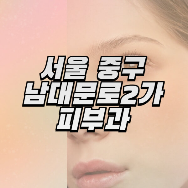 서울-중구-남대문로2가-피부과-잘하는-곳-추천-전문의-일요일-진료-유명한-곳-리프팅-보톡스-필러-레이저제모-여드름