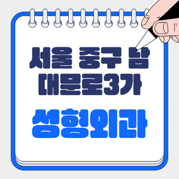 서울-중구-남대문로3가-성형외과-유명한-곳-추천-일요일-전문의-잘하는-곳-흉터-눈-코-얼굴-지방이식