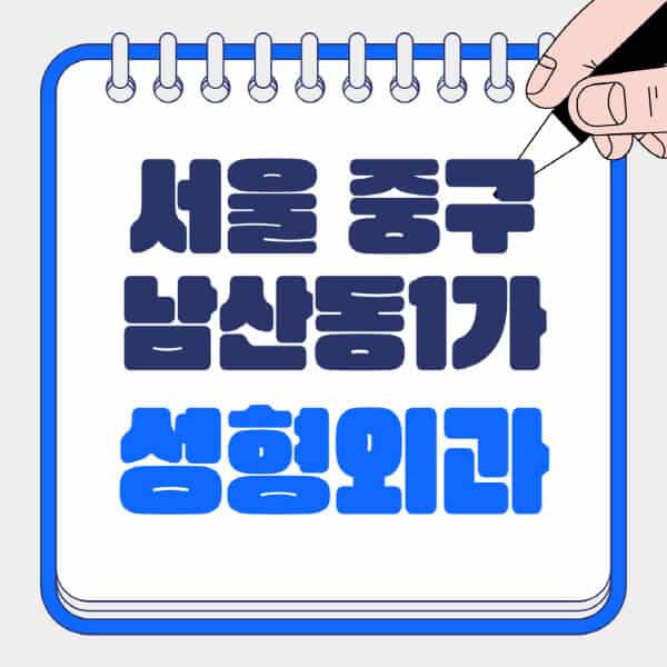 서울-중구-남산동1가-성형외과-유명한-곳-추천-일요일-전문의-잘하는-곳-흉터-눈-코-얼굴-지방이식