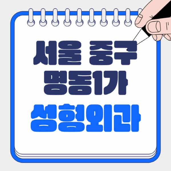 서울-중구-명동1가-성형외과-유명한-곳-추천-일요일-전문의-잘하는-곳-흉터-눈-코-얼굴-지방이식