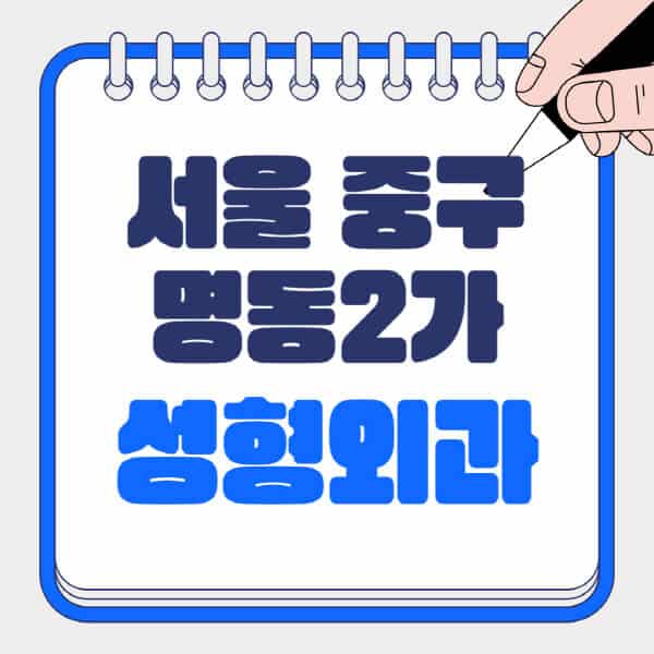 서울-중구-명동2가-성형외과-유명한-곳-추천-일요일-전문의-잘하는-곳-흉터-눈-코-얼굴-지방이식