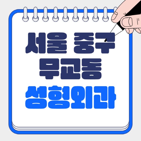 서울-중구-무교동-성형외과-유명한-곳-추천-일요일-전문의-잘하는-곳-흉터-눈-코-얼굴-지방이식