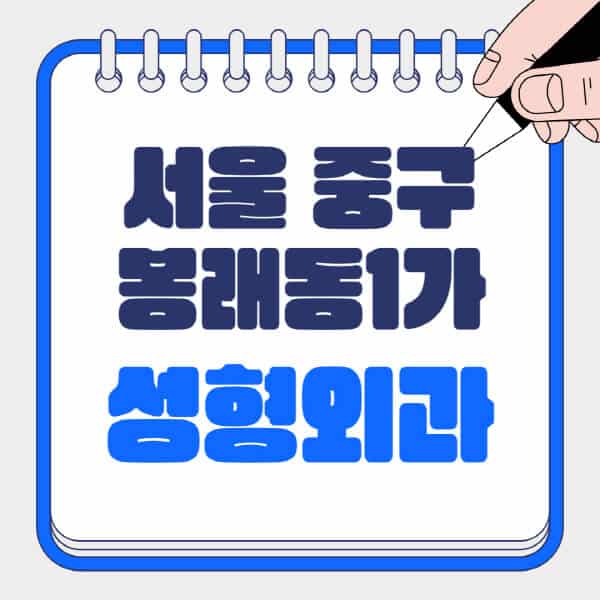 서울-중구-봉래동1가-성형외과-유명한-곳-추천-일요일-전문의-잘하는-곳-흉터-눈-코-얼굴-지방이식