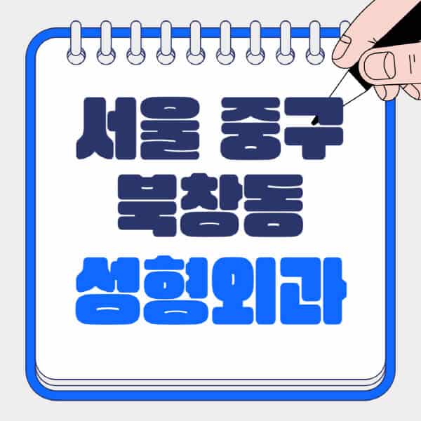 서울-중구-북창동-성형외과-유명한-곳-추천-일요일-전문의-잘하는-곳-흉터-눈-코-얼굴-지방이식