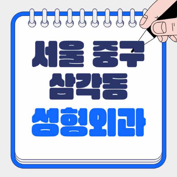 서울-중구-삼각동-성형외과-유명한-곳-추천-일요일-전문의-잘하는-곳-흉터-눈-코-얼굴-지방이식