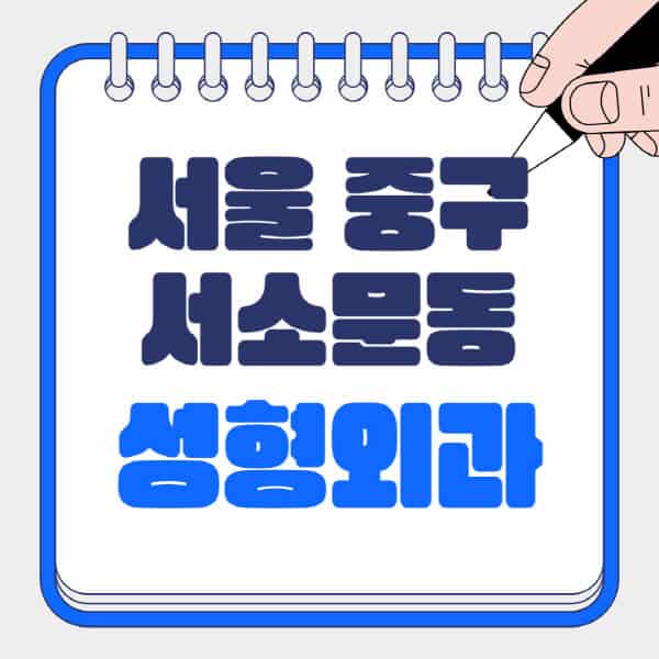 서울-중구-서소문동-성형외과-유명한-곳-추천-일요일-전문의-잘하는-곳-흉터-눈-코-얼굴-지방이식