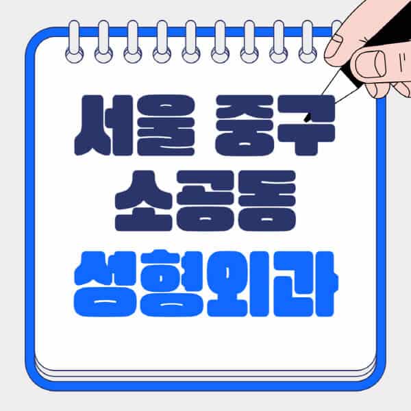 서울-중구-소공동-성형외과-유명한-곳-추천-일요일-전문의-잘하는-곳-흉터-눈-코-얼굴-지방이식