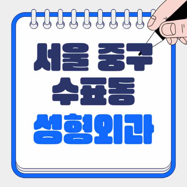 서울-중구-수표동-성형외과-유명한-곳-추천-일요일-전문의-잘하는-곳-흉터-눈-코-얼굴-지방이식