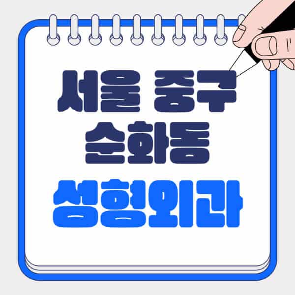 서울-중구-순화동-성형외과-유명한-곳-추천-일요일-전문의-잘하는-곳-흉터-눈-코-얼굴-지방이식