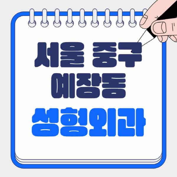 서울-중구-예장동-성형외과-유명한-곳-추천-일요일-전문의-잘하는-곳-흉터-눈-코-얼굴-지방이식