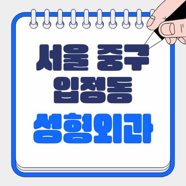서울-중구-입정동-성형외과-유명한-곳-추천-일요일-전문의-잘하는-곳-흉터-눈-코-얼굴-지방이식