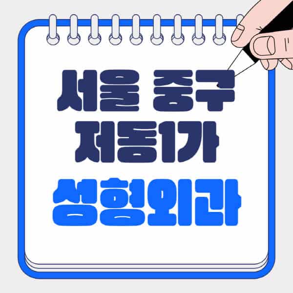 서울-중구-저동1가-성형외과-유명한-곳-추천-일요일-전문의-잘하는-곳-흉터-눈-코-얼굴-지방이식