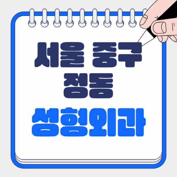 서울-중구-정동-성형외과-유명한-곳-추천-일요일-전문의-잘하는-곳-흉터-눈-코-얼굴-지방이식