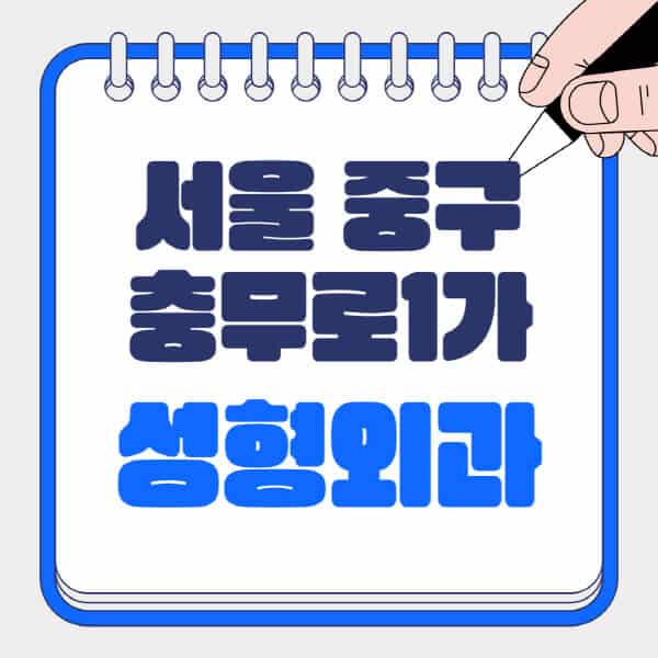 서울-중구-충무로1가-성형외과-유명한-곳-추천-일요일-전문의-잘하는-곳-흉터-눈-코-얼굴-지방이식