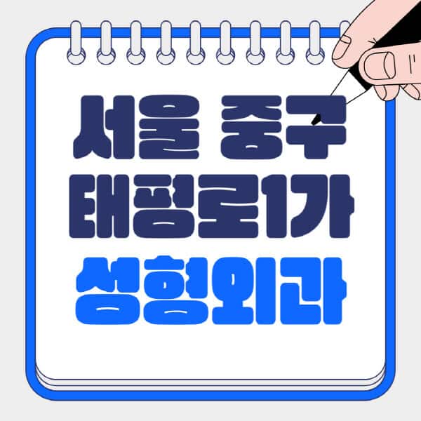서울-중구-태평로1가-성형외과-유명한-곳-추천-일요일-전문의-잘하는-곳-흉터-눈-코-얼굴-지방이식