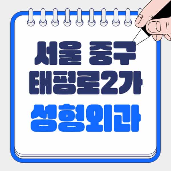 서울-중구-태평로2가-성형외과-유명한-곳-추천-일요일-전문의-잘하는-곳-흉터-눈-코-얼굴-지방이식