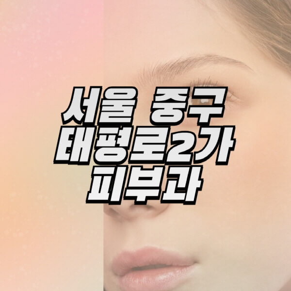 서울-중구-태평로2가-피부과-잘하는-곳-추천-전문의-일요일-진료-유명한-곳-리프팅-보톡스-필러-레이저제모-여드름