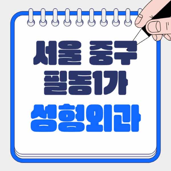 서울-중구-필동1가-성형외과-유명한-곳-추천-일요일-전문의-잘하는-곳-흉터-눈-코-얼굴-지방이식