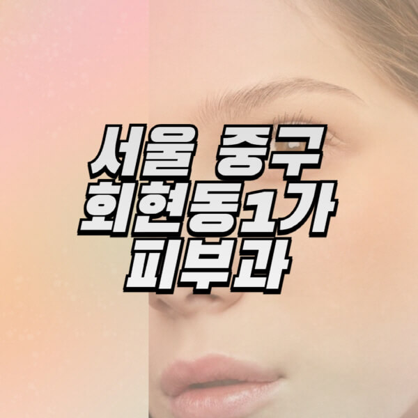 서울-중구-회현동1가-피부과-잘하는-곳-추천-전문의-일요일-진료-유명한-곳-리프팅-보톡스-필러-레이저제모-여드름